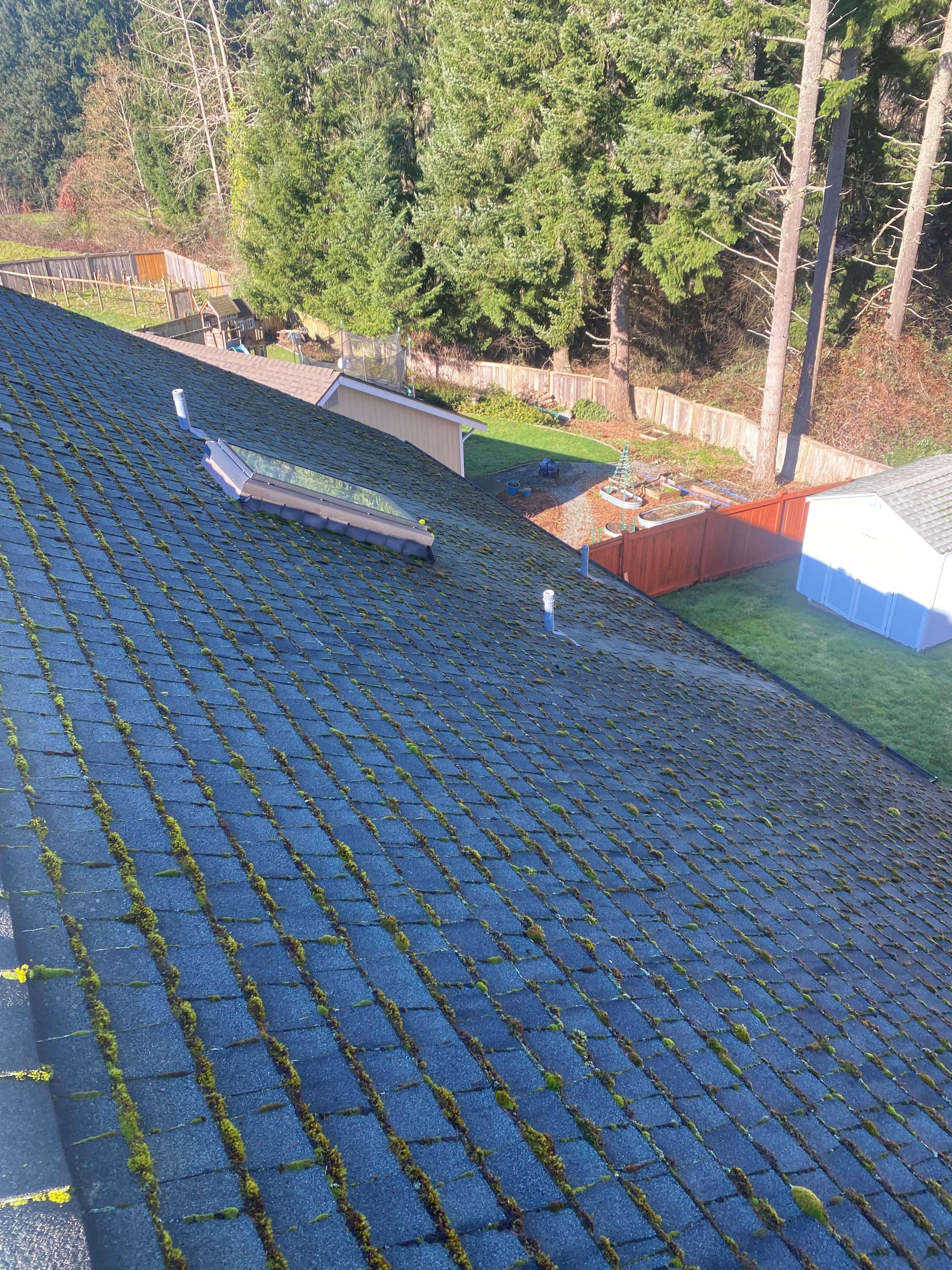 Superior Roof Cleaning — photo 3